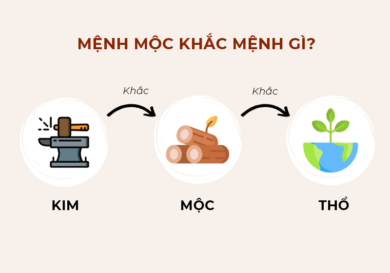 Mệnh mộc hợp mệnh gì?
