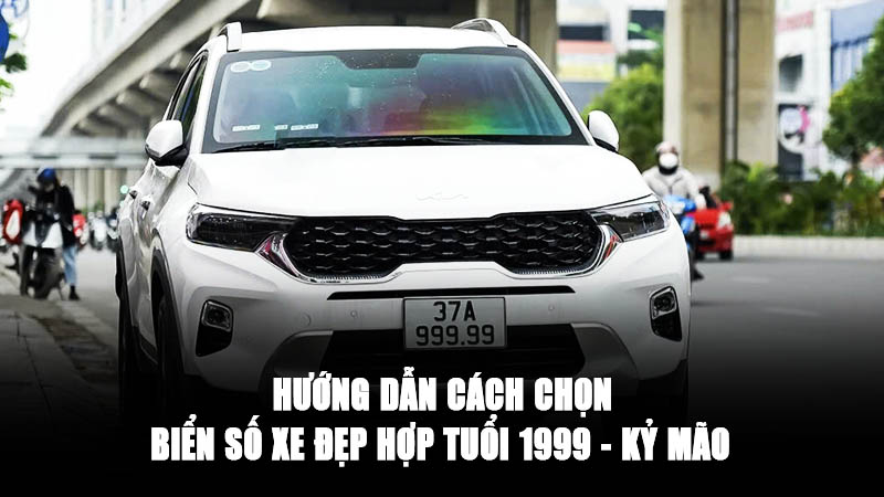 Hướng dẫn Cách Chọn Biển Số Xe Đẹp Hợp Tuổi 1999 - Kỷ Mão