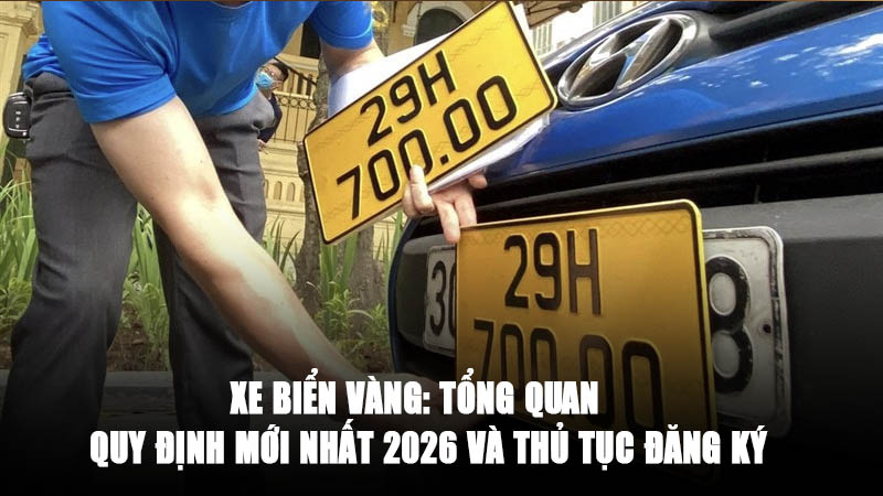 Xe Biển Vàng: Tổng Quan, Quy Định Mới Nhất 2026 và Thủ Tục Đăng Ký