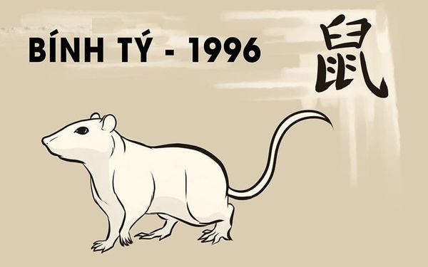 Biển Số Xe Đẹp Hợp Tuổi 1996 bính tý