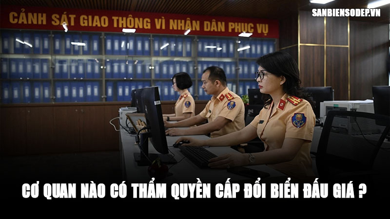 Cơ Quan Nào Có Thẩm Quyền Cấp Đổi Biển Đấu Giá 2026?