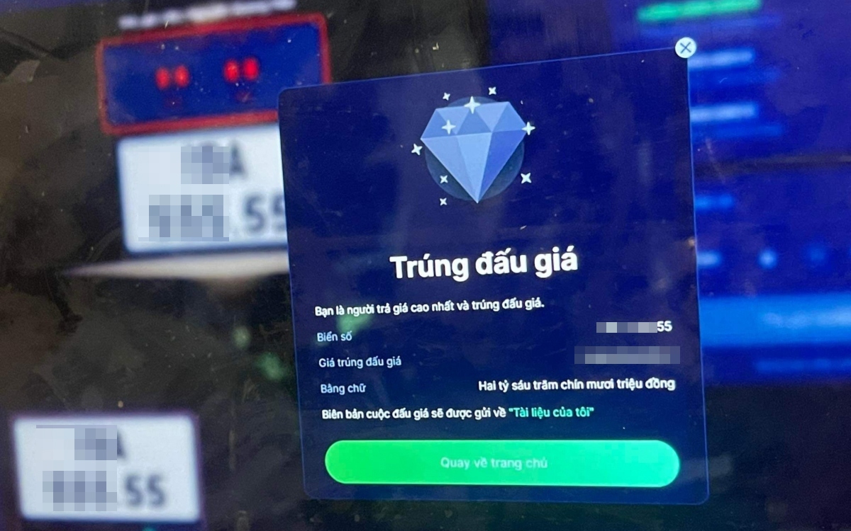 Các bước thực hiện đấu giá biển số xe đẹp mới nhất 2025