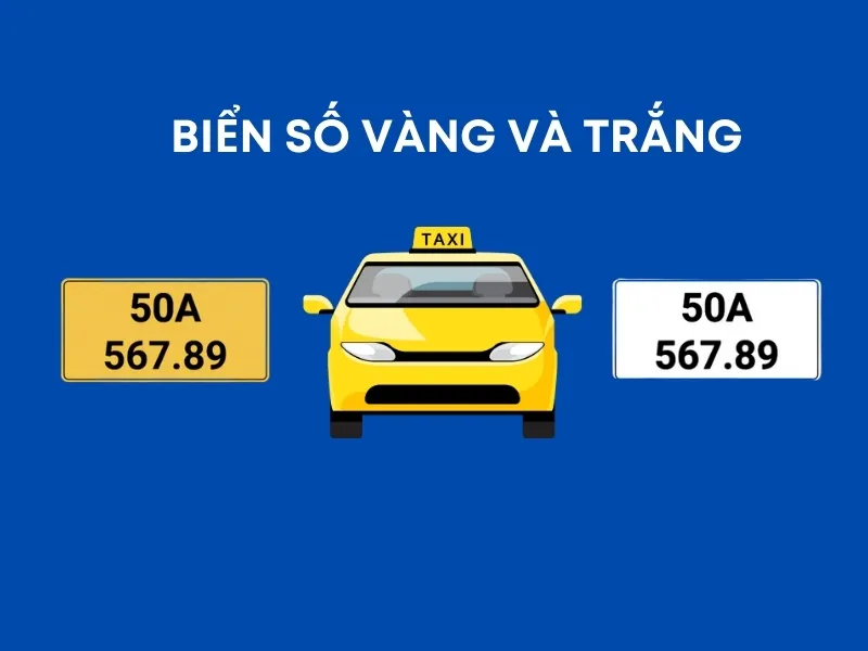Thủ Tục Đổi Biển Vàng Sang Trắng Mới Nhất - Cần Những Gì? Mất Bao Lâu?